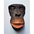 Dodenmasker Chimpansee